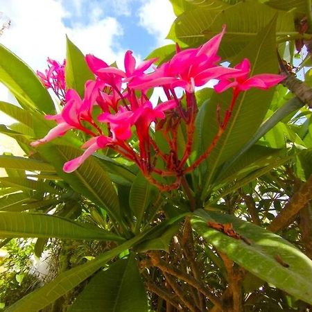 Beautiful 3 Bedroom Townhouse In Urb. Tropicana, Nerja Exteriör bild